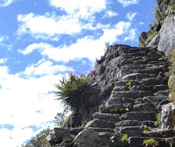 montaña huayna picchu