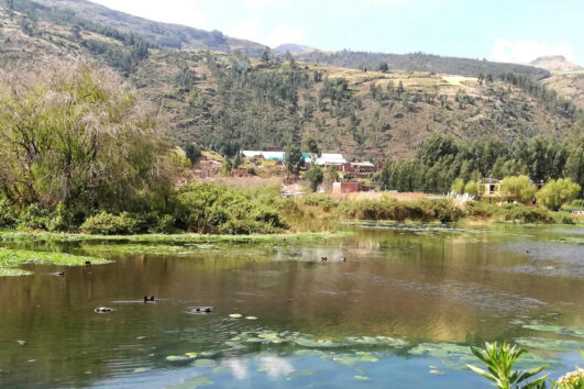 humedales de huasao