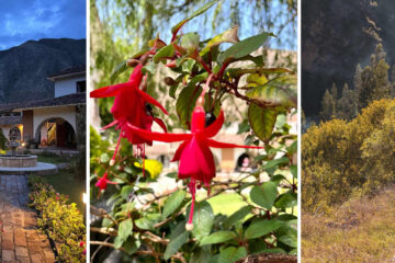cusco a yucay