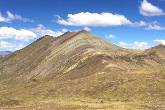 palcoyo
